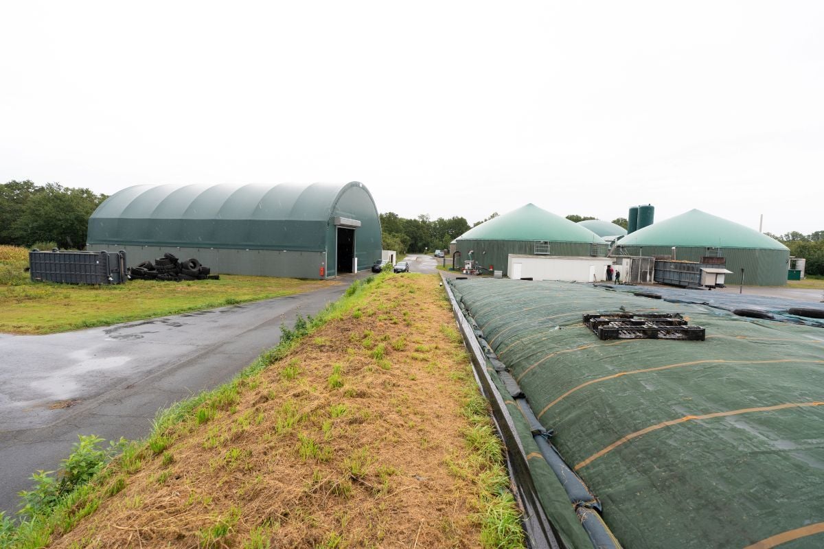 HiCone 360 AD plant 2