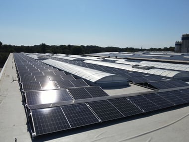 „Dachbegrünung“ mal anders: grüner Strom durch Photovoltaik auf den Dächern von Vogelsang