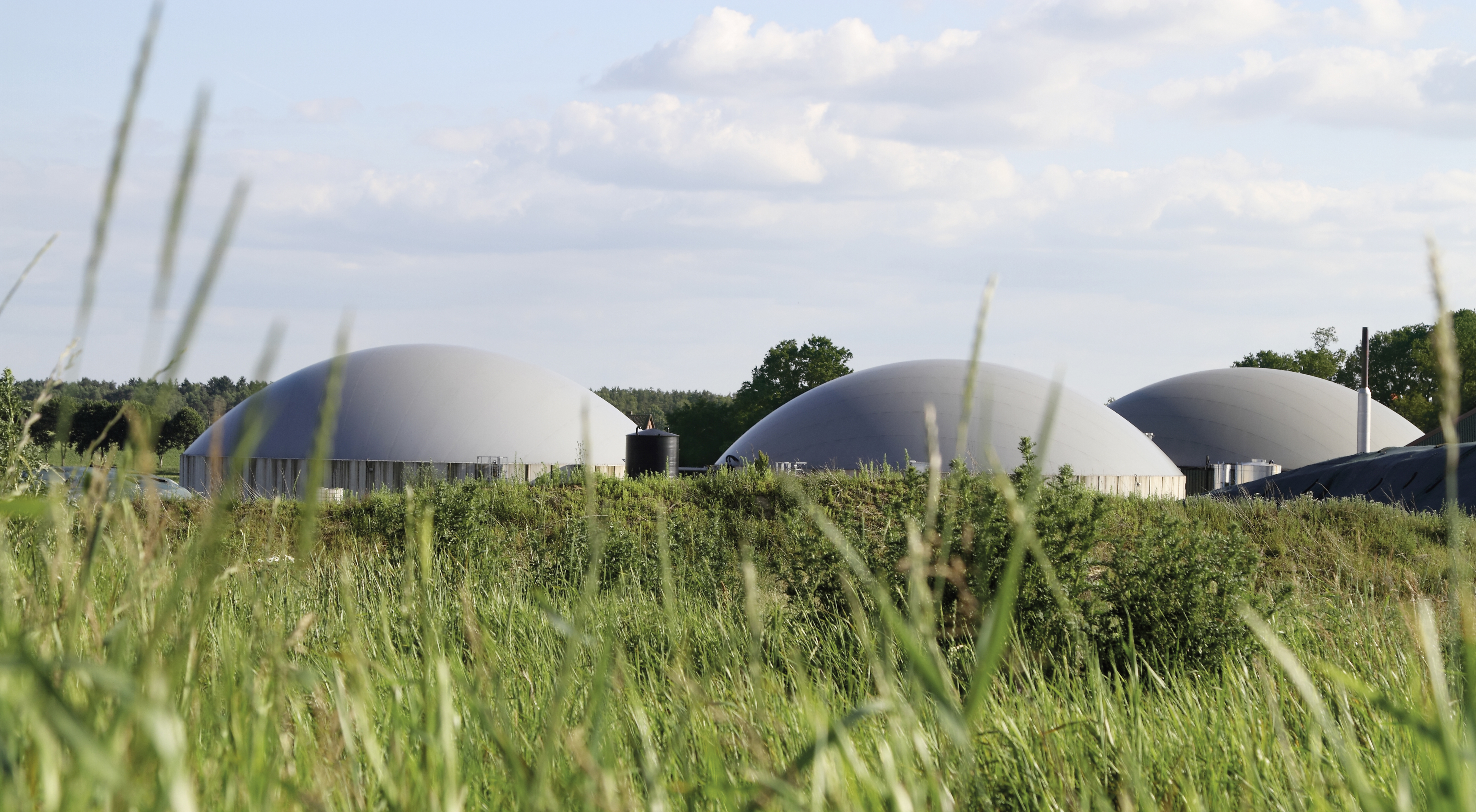 Förderung für Biogasanlagen vom BAFA und BMEL